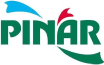 Pınar